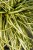 de233acdaf6df8666b2bfc7fe1bc5f9d.jpg