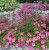 0cedc1ced77e9fe9595fe9ef358e8a6e.jpg
