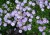 e9b9bd4611cbdeb0d0b210189e09fd5b.jpg