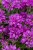 92d2ff4df4926c959d8c7b54b5b5892c.jpg