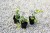 c5ed0025e48a2592be314aca6d8a6df0.jpg
