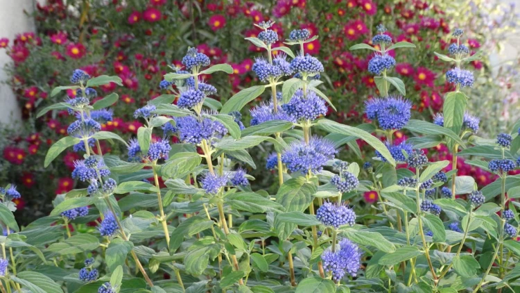87d5de99f164ea96b740e74054d219fb.jpg