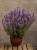 6db286f33c2be023bf1abefdceb2296d.jpg